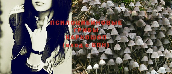 мет Елизово
